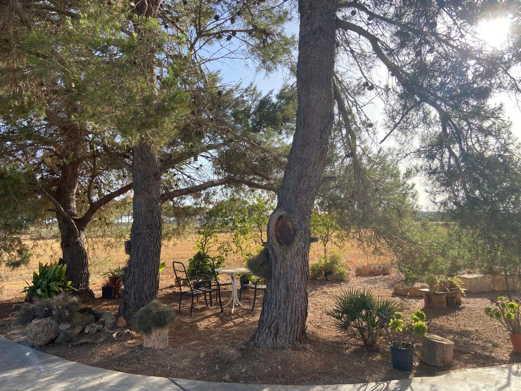 Ca Na Brila Villa Campos  Luaran gambar